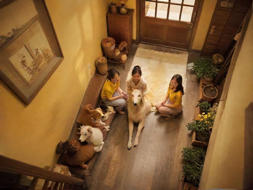 广州深圳犬马之家入口温馨环境展示